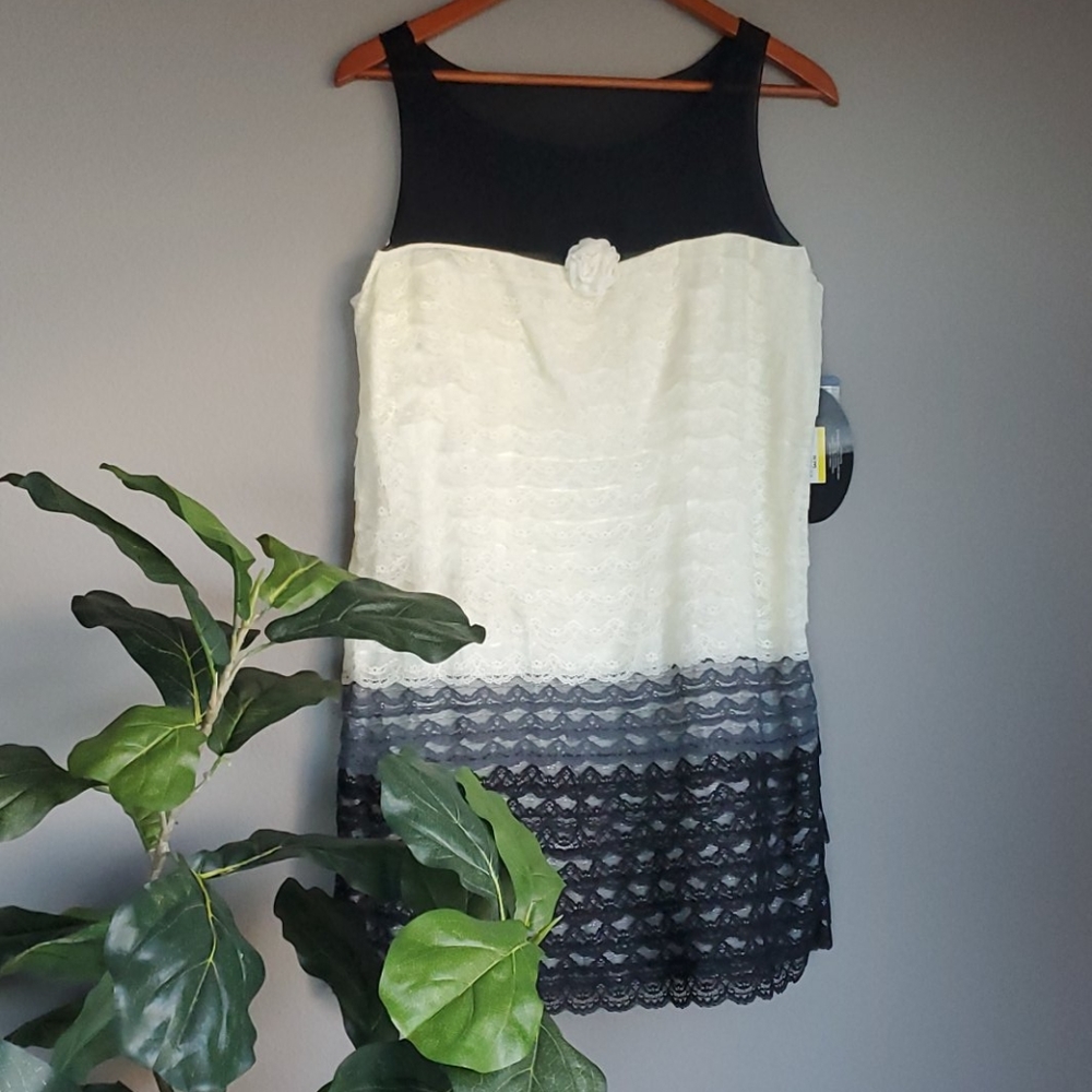❤ Behnaz Sarafpour lace ruffle dress